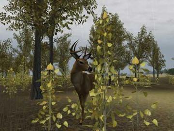 free deer hunter game downloads